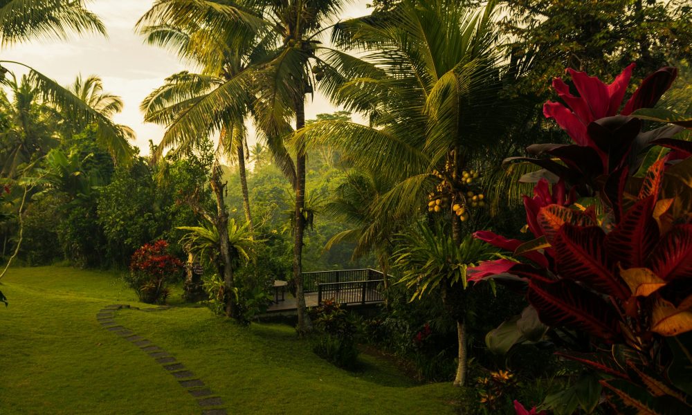 Paradise in Bali