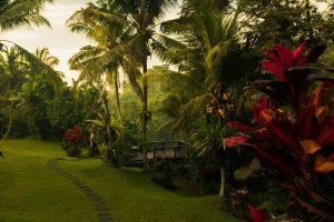 Paradise in Bali